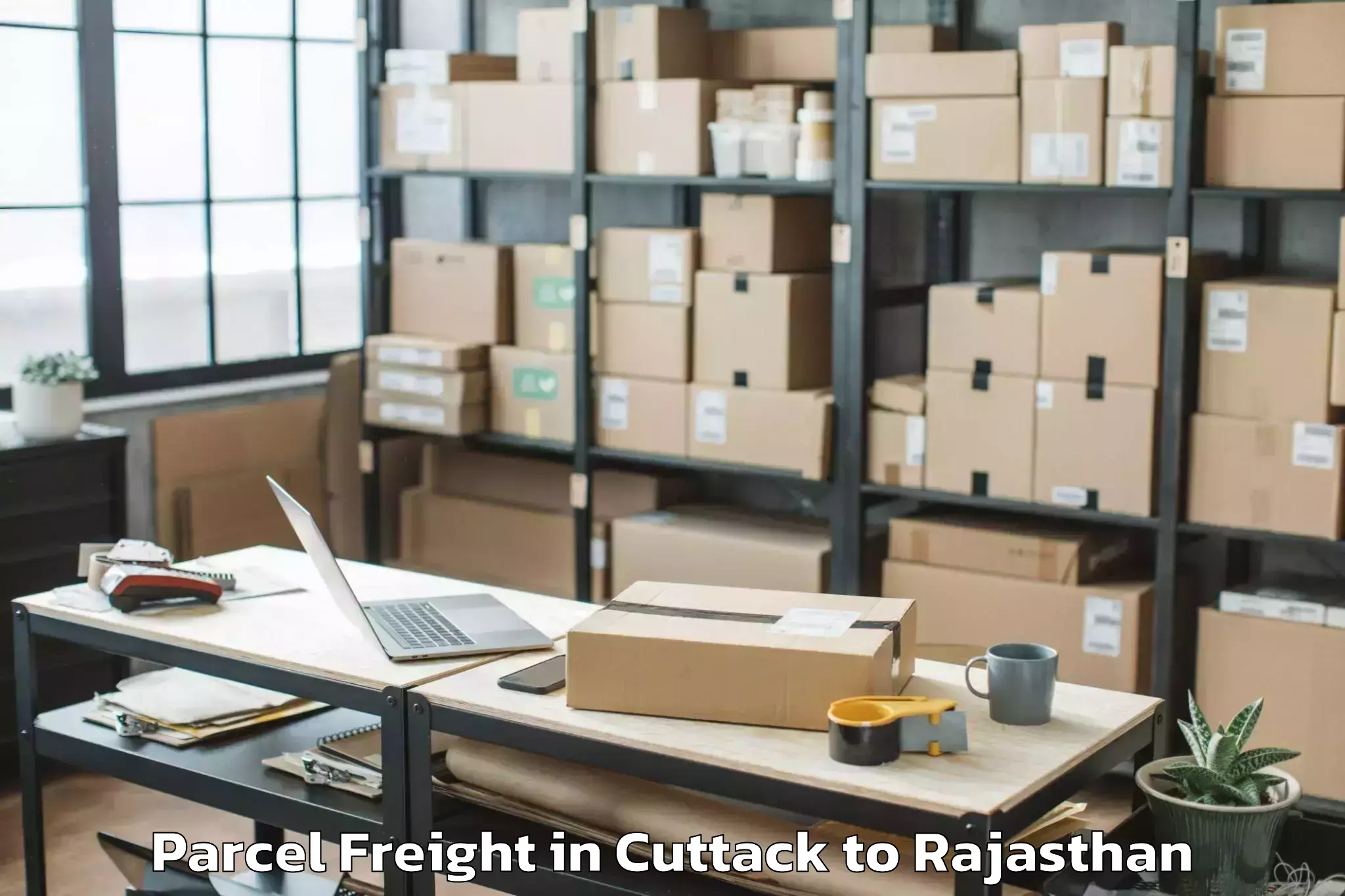 Top Cuttack to Opjs University Churu Parcel Freight Available